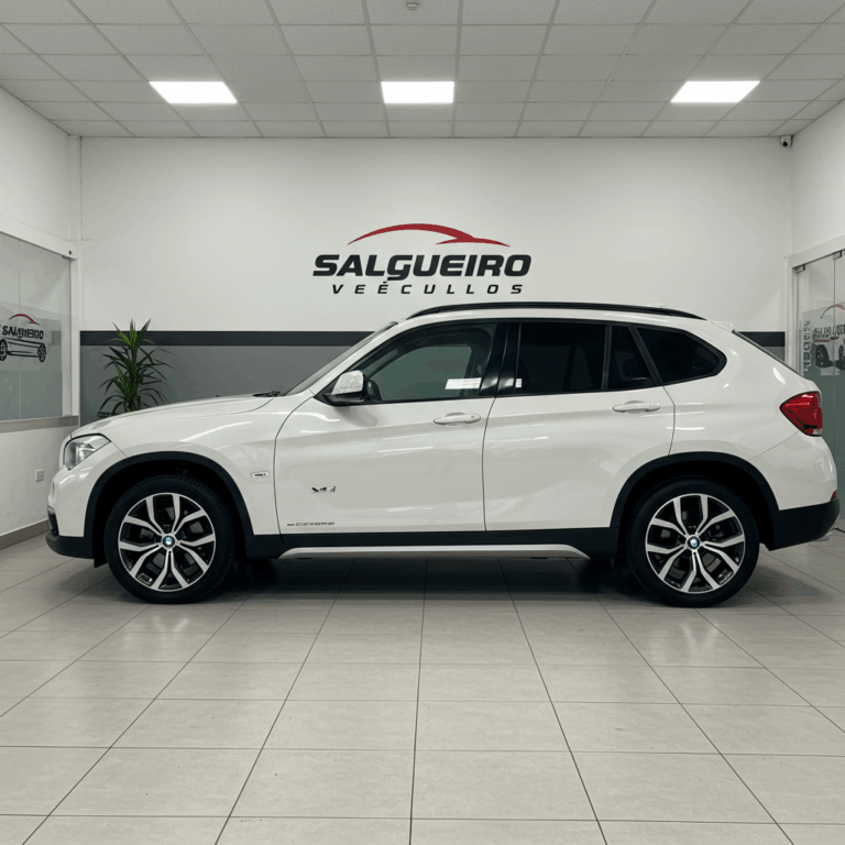 Salgueiro-Veiculos-visão-lateral